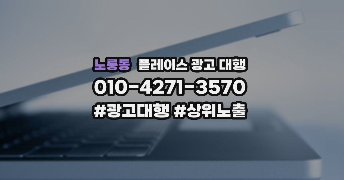 노룡동 플레이스 광고 대행