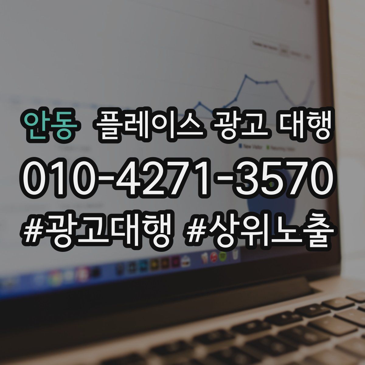 안동 플레이스 광고 대행