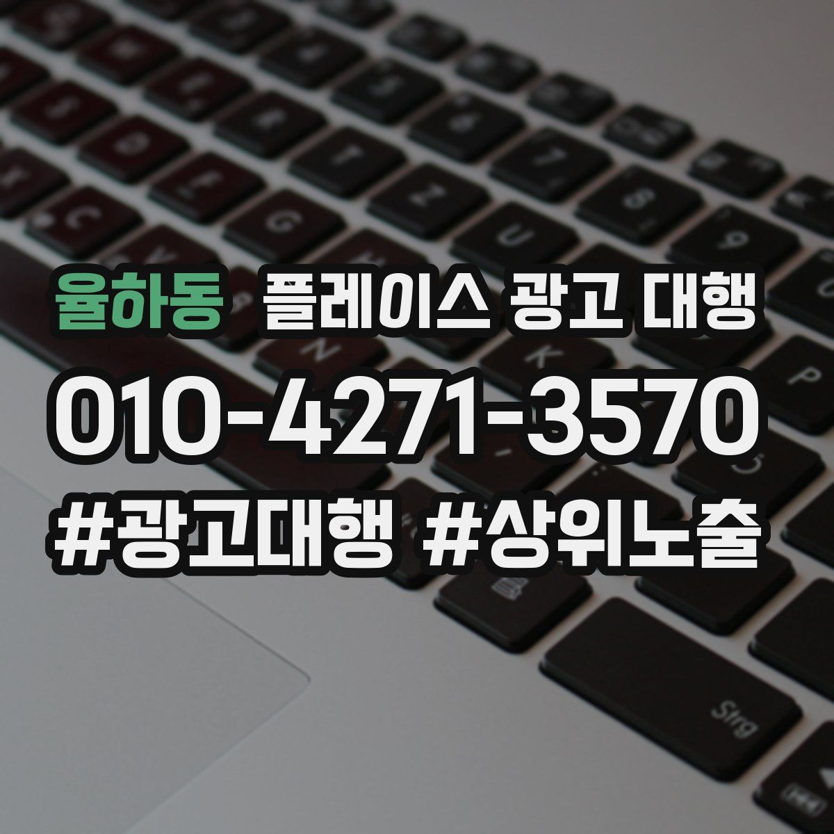 율하동 플레이스 광고 대행