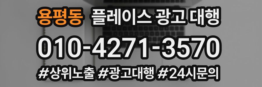 용평동 플레이스 광고 대행