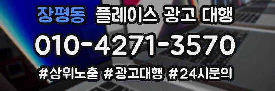 장평동 플레이스 광고 대행