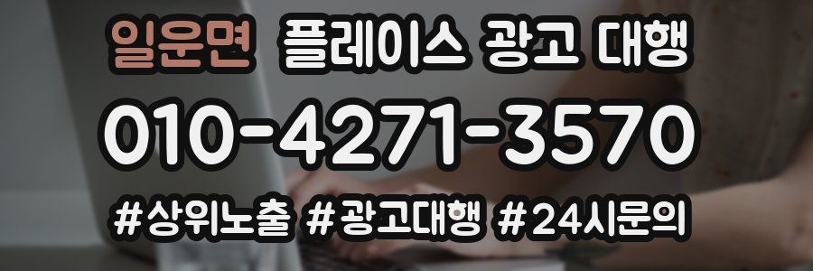 일운면 플레이스 광고 대행