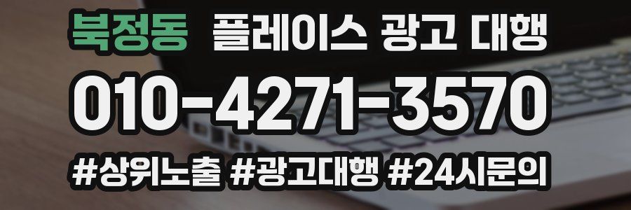 북정동 플레이스 광고 대행