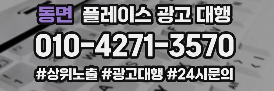 동면 플레이스 광고 대행