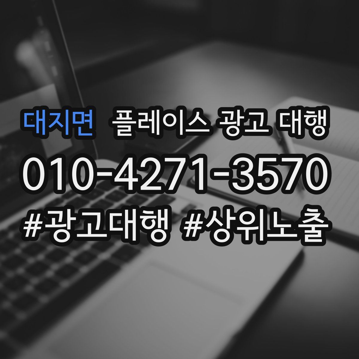 대지면 플레이스 광고 대행