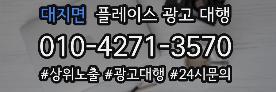 대지면 플레이스 광고 대행
