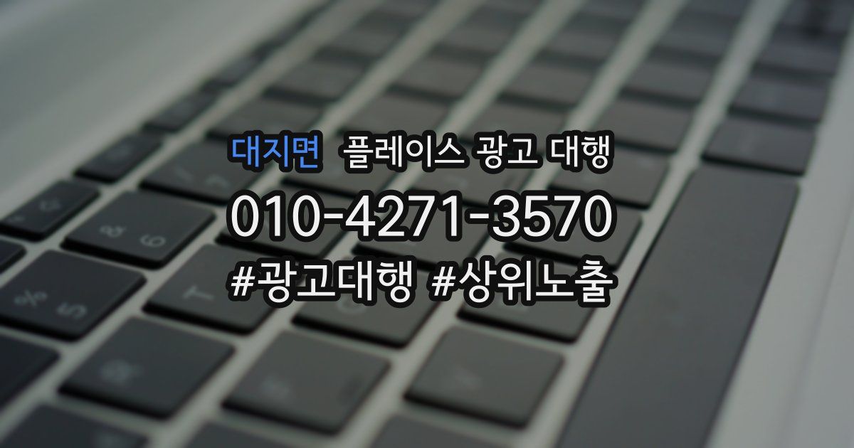 대지면 플레이스 광고 대행