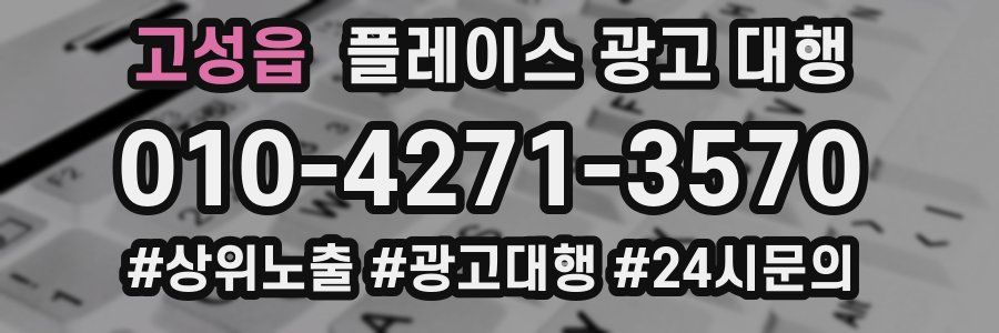 고성읍 플레이스 광고 대행
