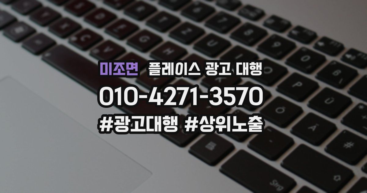 미조면 플레이스 광고 대행