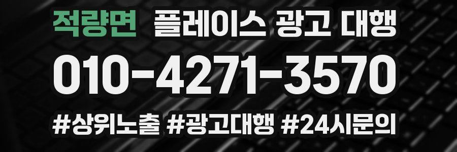 적량면 플레이스 광고 대행