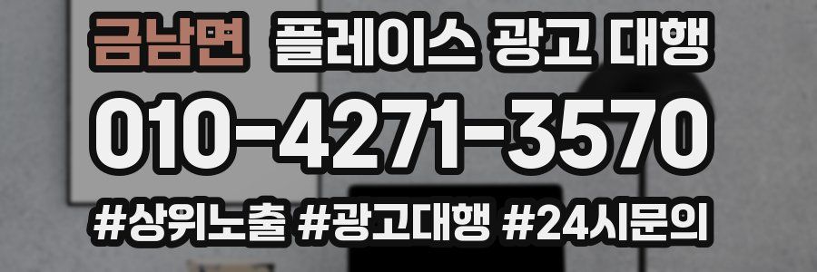 금남면 플레이스 광고 대행