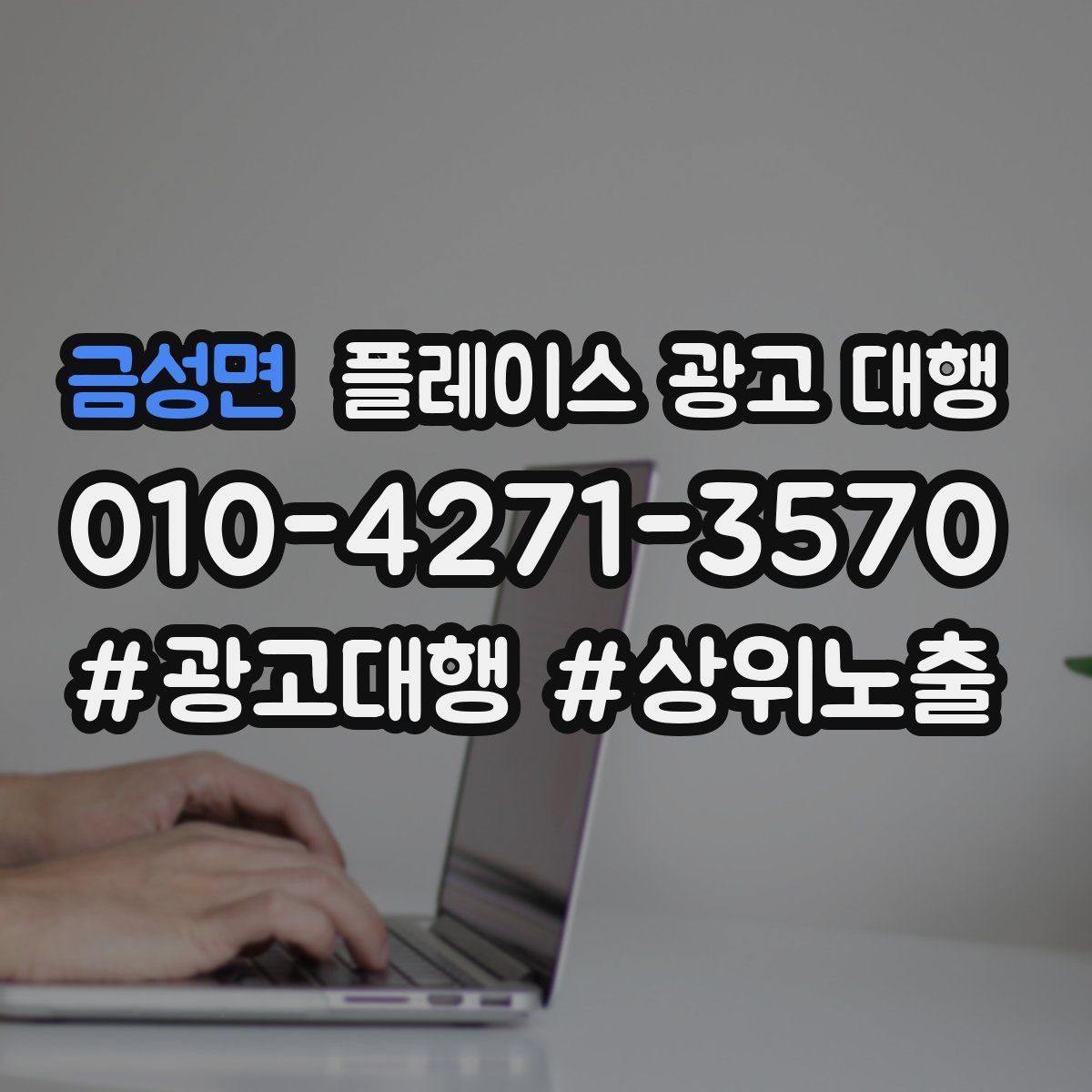 금성면 플레이스 광고 대행