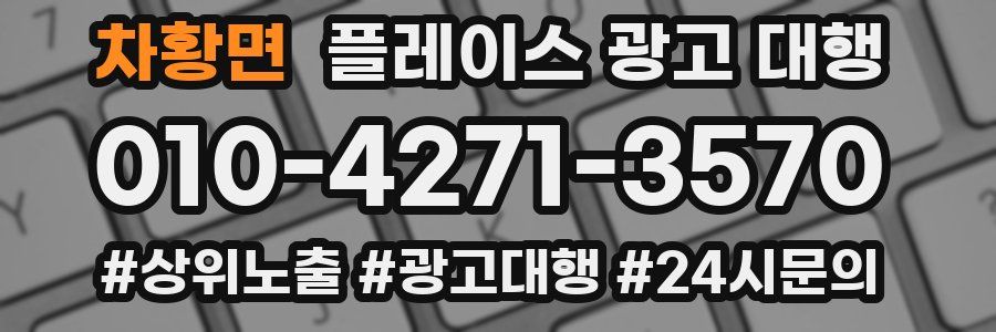 차황면 플레이스 광고 대행