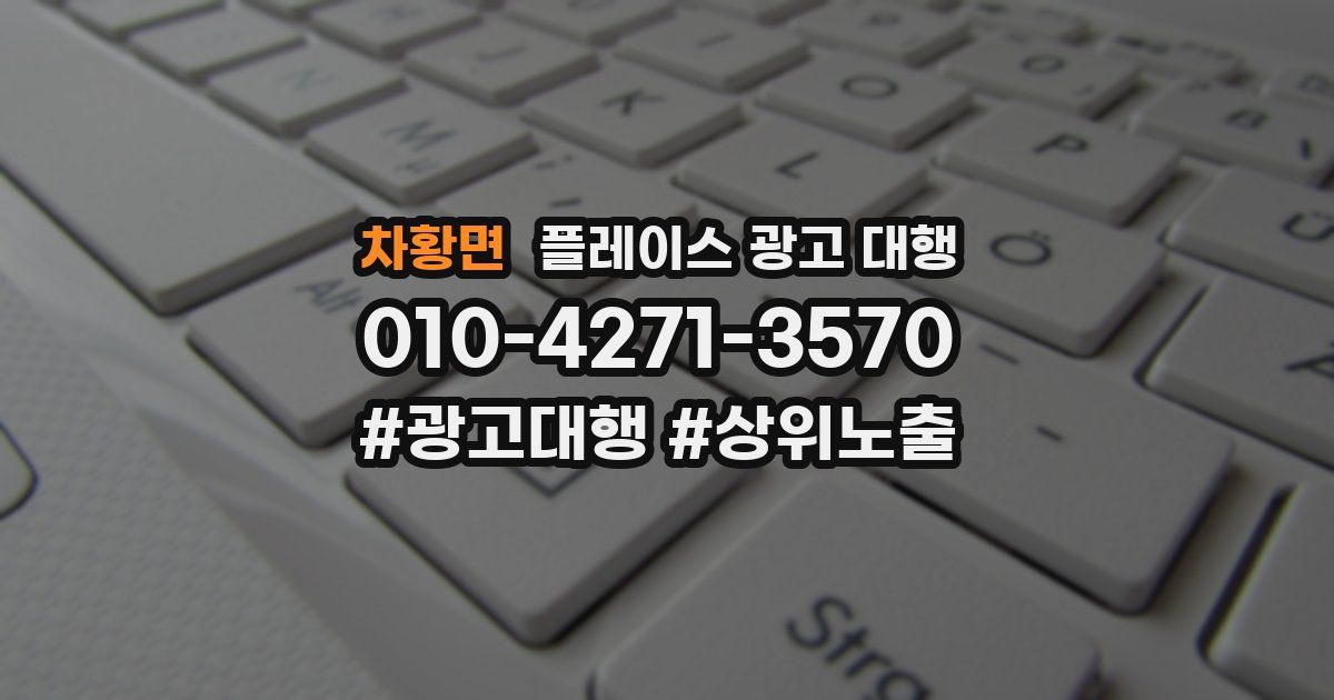 차황면 플레이스 광고 대행