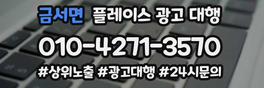 금서면 플레이스 광고 대행