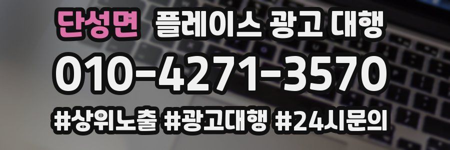단성면 플레이스 광고 대행