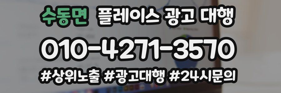 수동면 플레이스 광고 대행