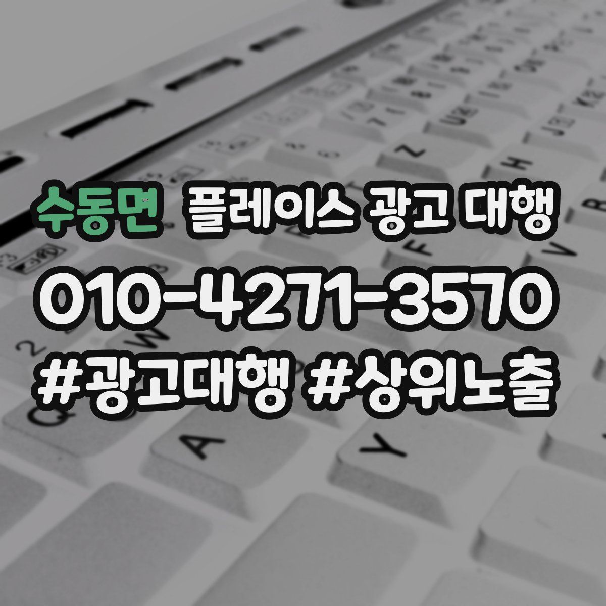 수동면 플레이스 광고 대행