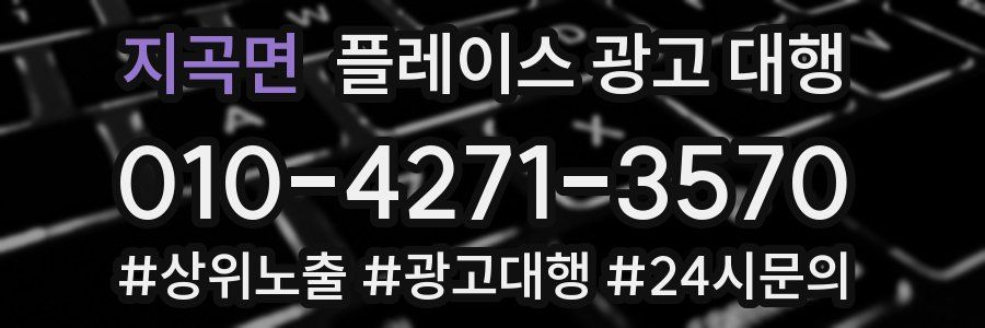 지곡면 플레이스 광고 대행