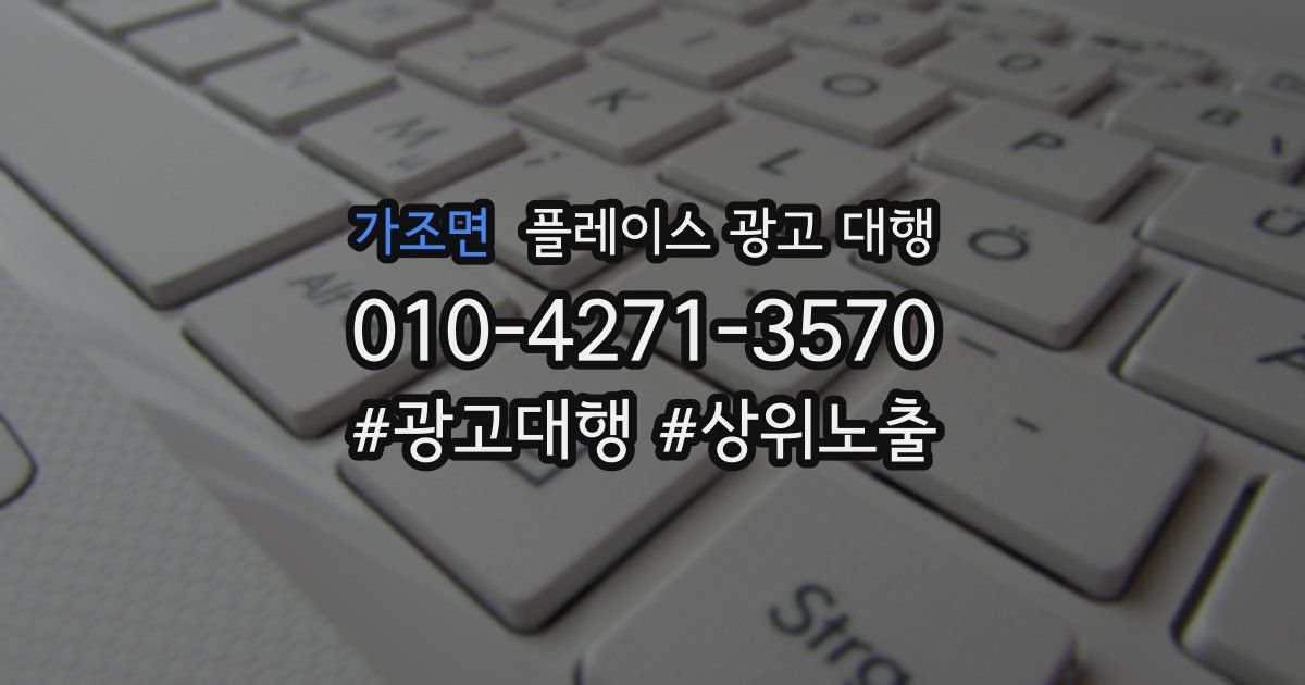 가조면 플레이스 광고 대행