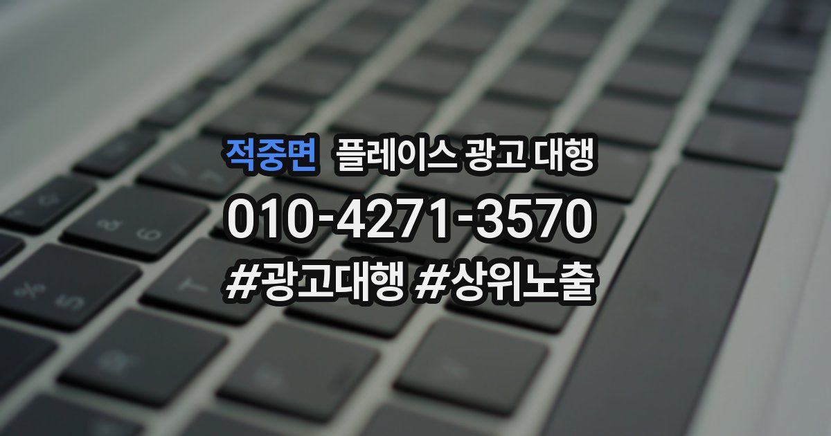 적중면 플레이스 광고 대행