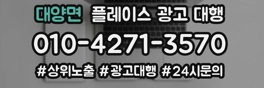 대양면 플레이스 광고 대행