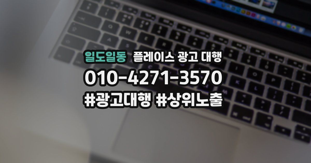 일도일동 플레이스 광고 대행