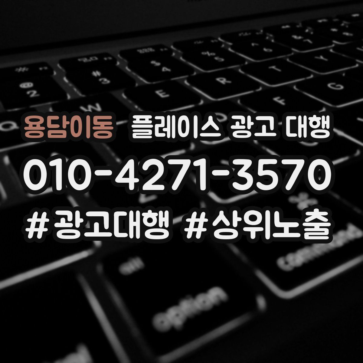 용담이동 플레이스 광고 대행