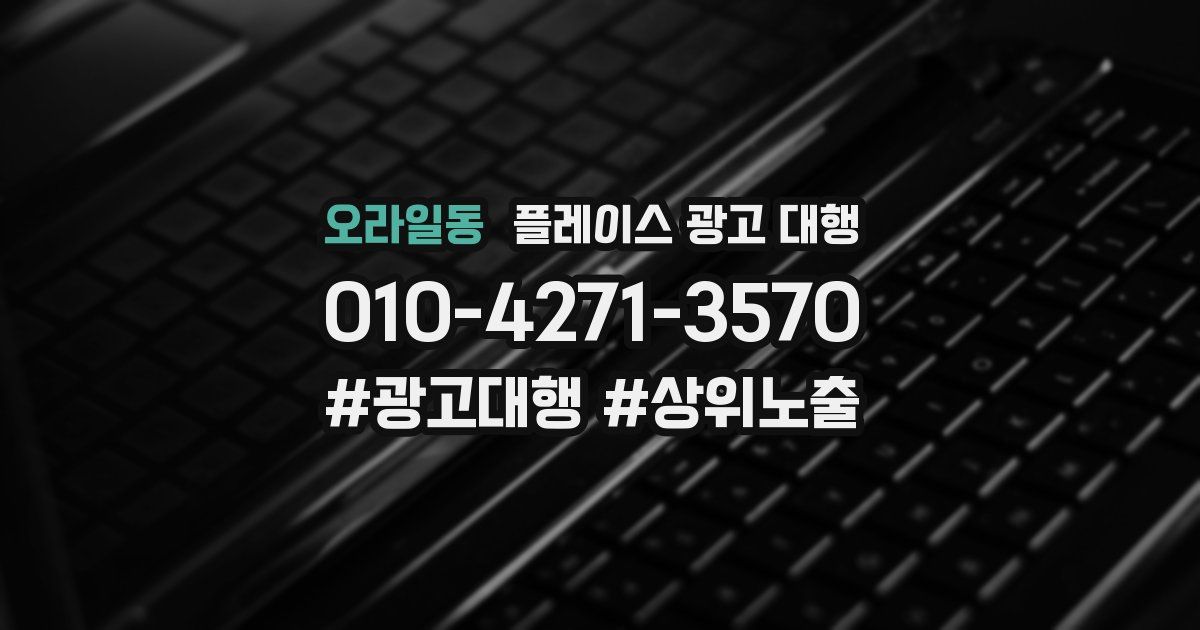 오라일동 플레이스 광고 대행