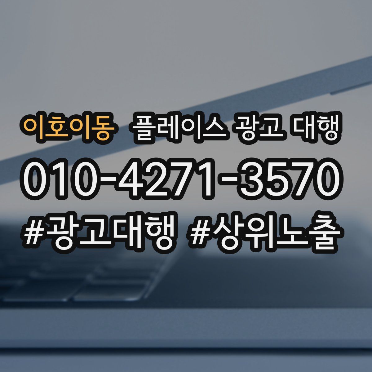 이호이동 플레이스 광고 대행