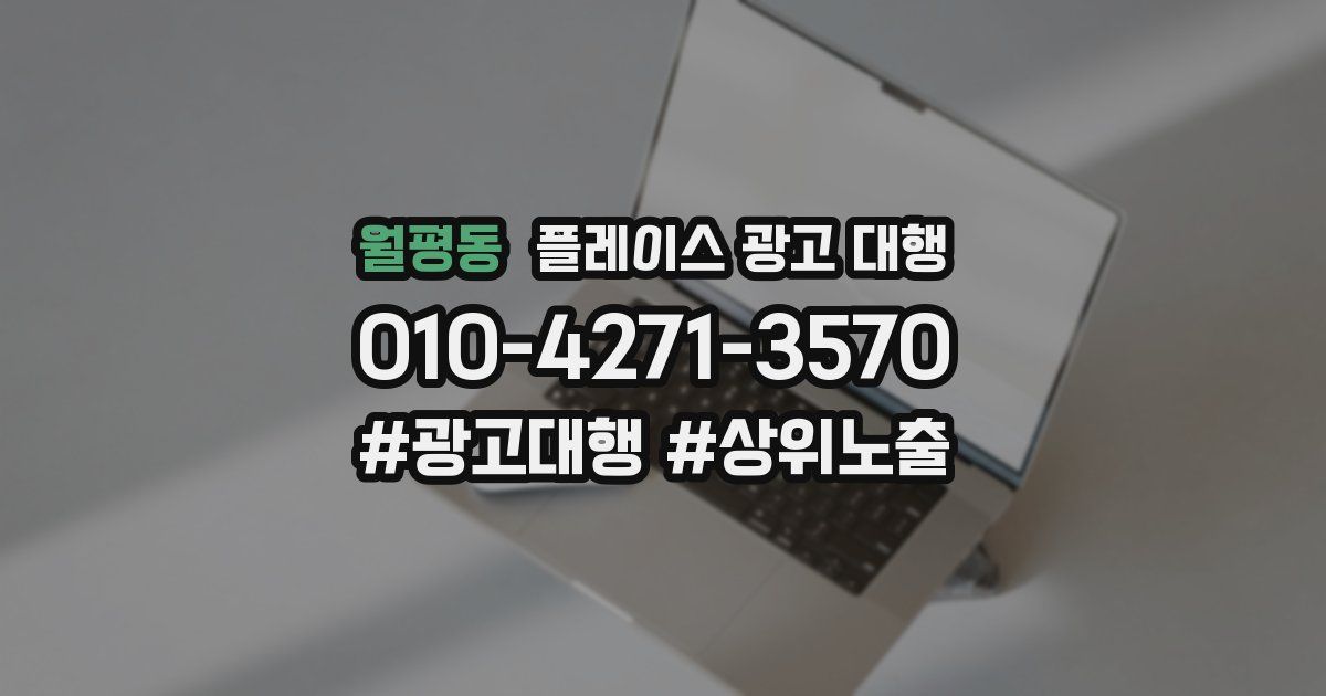 월평동 플레이스 광고 대행