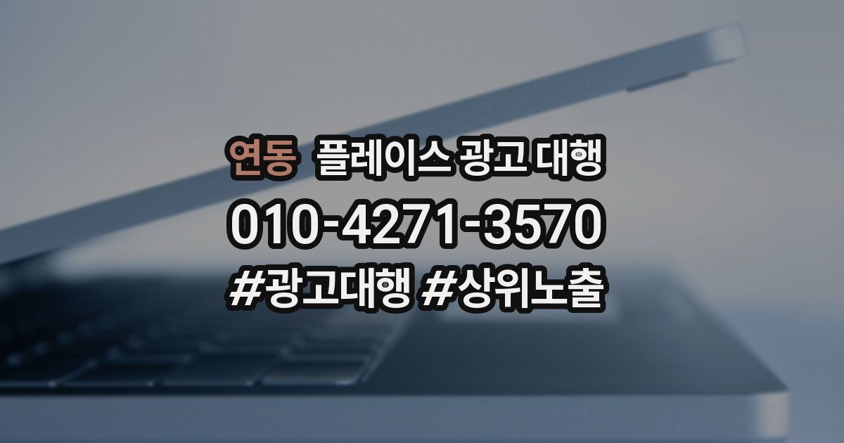 연동 플레이스 광고 대행