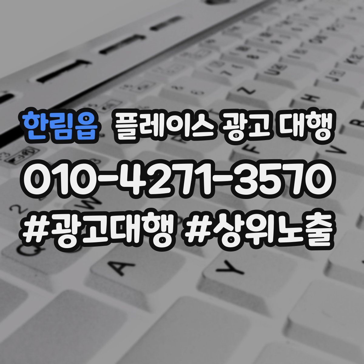 한림읍 플레이스 광고 대행