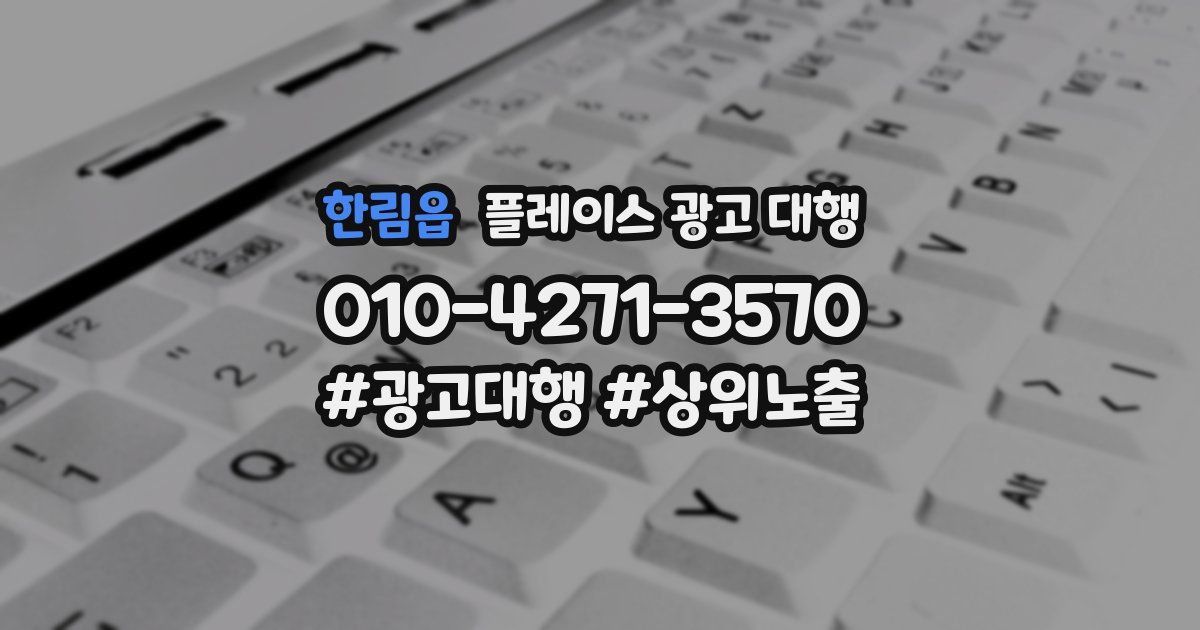 한림읍 플레이스 광고 대행