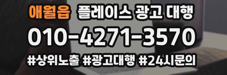 애월읍 플레이스 광고 대행