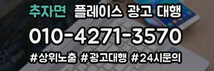 추자면 플레이스 광고 대행