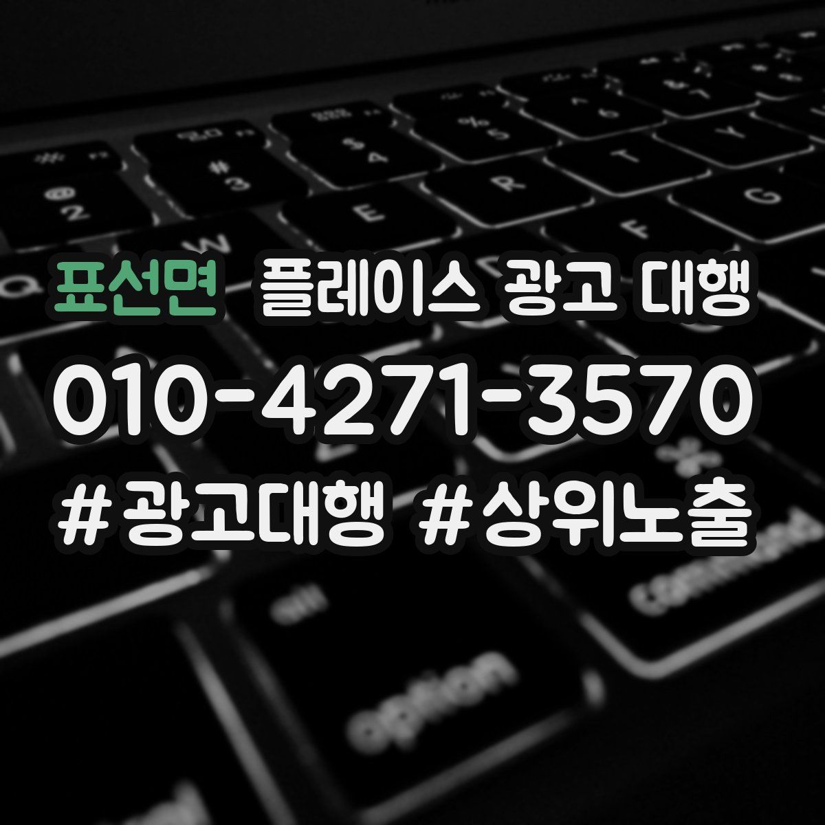 표선면 플레이스 광고 대행