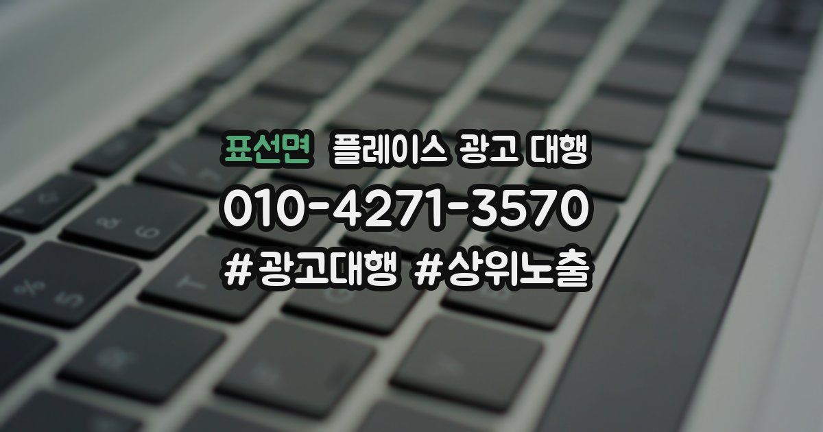표선면 플레이스 광고 대행