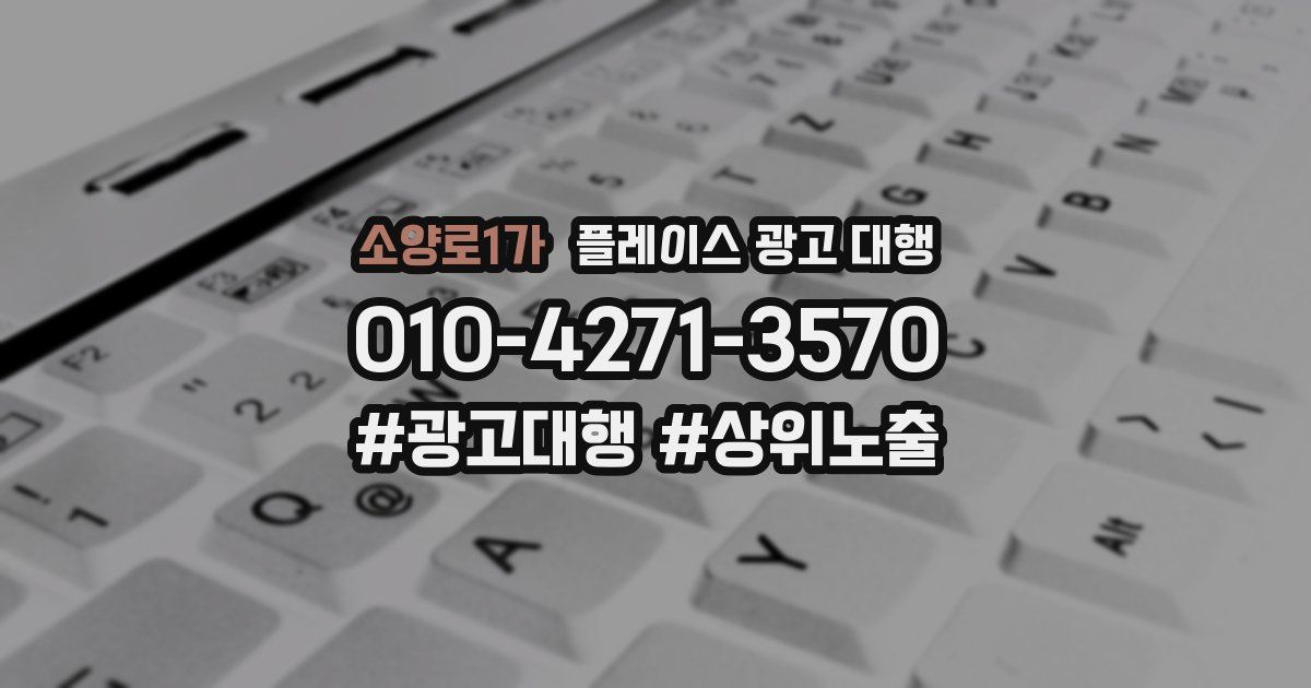소양로1가 플레이스 광고 대행