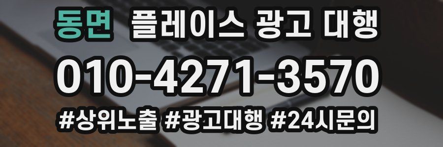 동면 플레이스 광고 대행