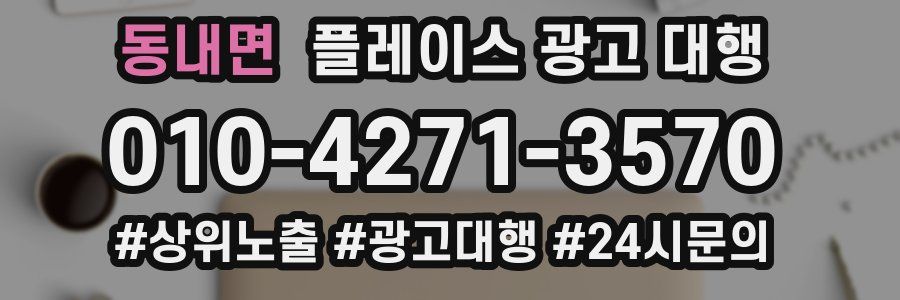 동내면 플레이스 광고 대행