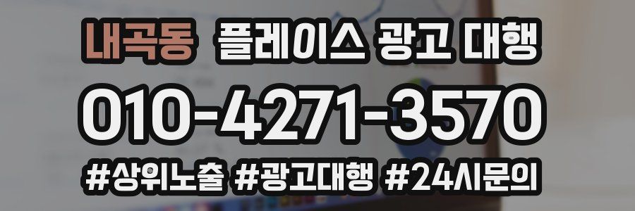 내곡동 플레이스 광고 대행