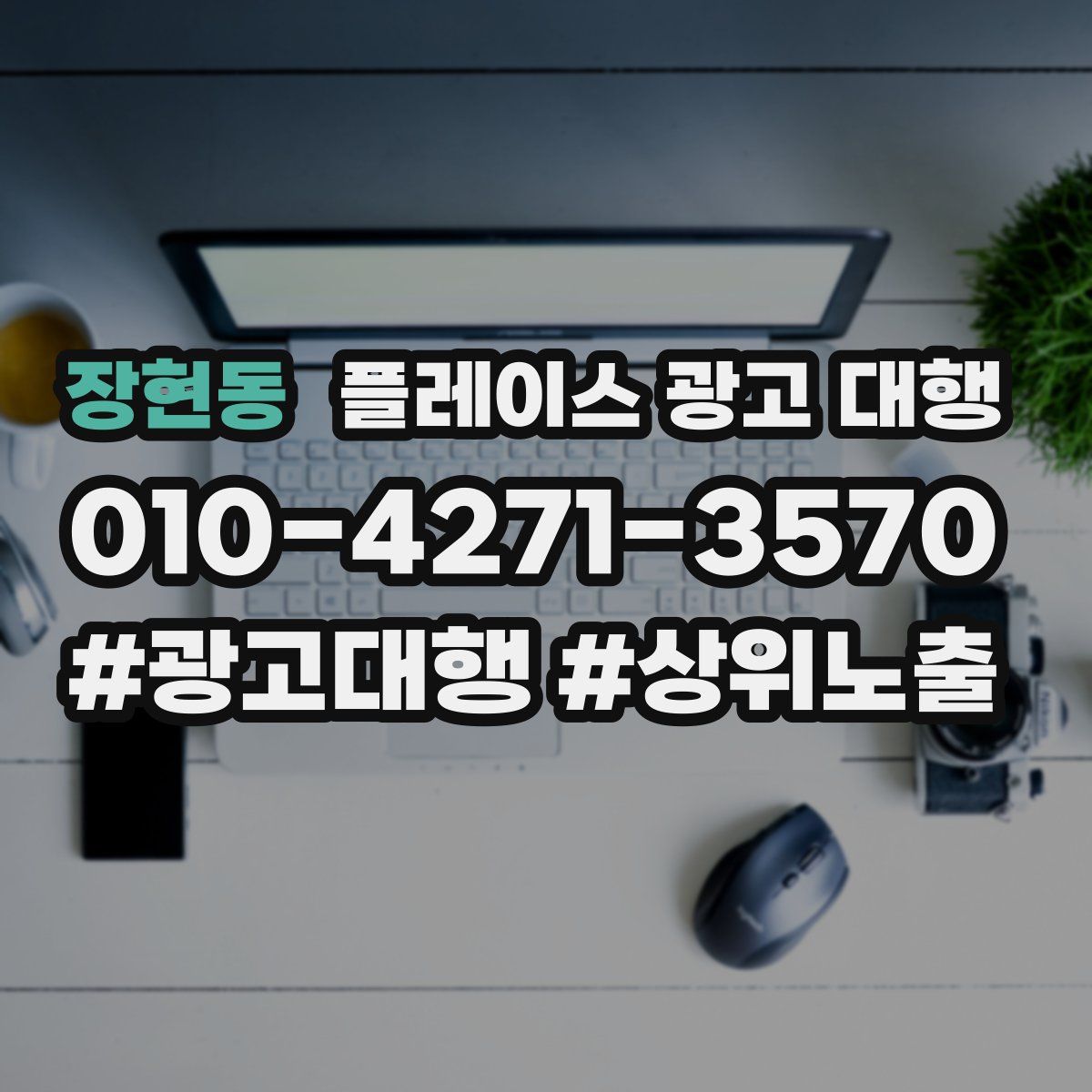 장현동 플레이스 광고 대행
