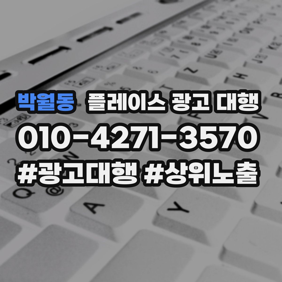 박월동 플레이스 광고 대행