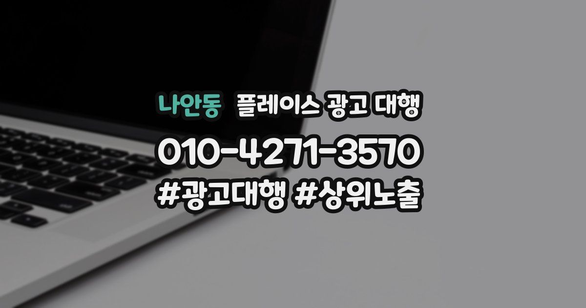 나안동 플레이스 광고 대행