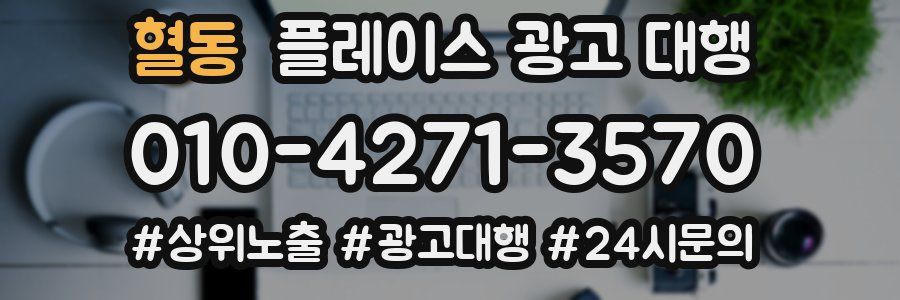혈동 플레이스 광고 대행