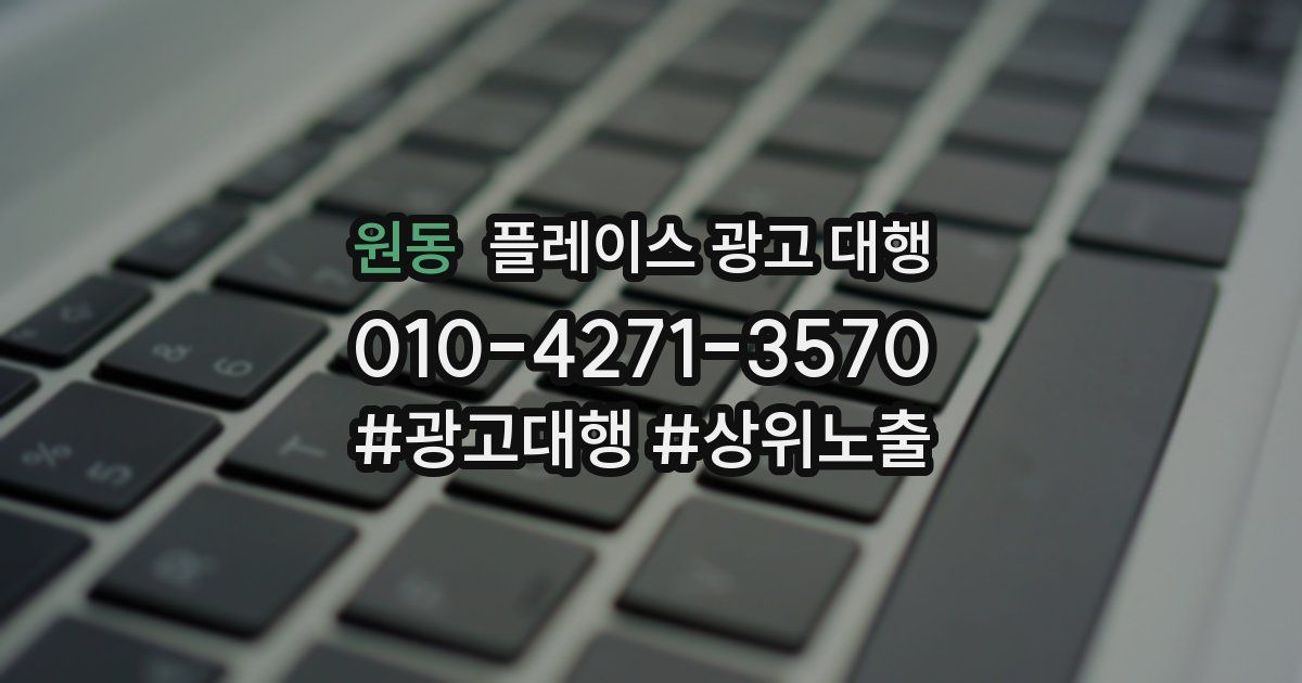 원동 플레이스 광고 대행