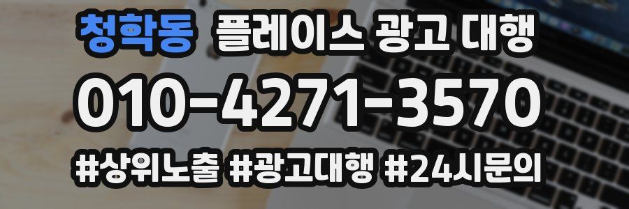 청학동 플레이스 광고 대행
