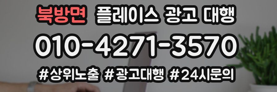 북방면 플레이스 광고 대행