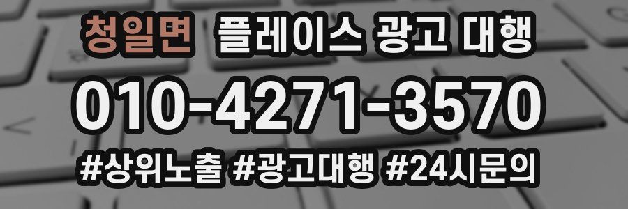 청일면 플레이스 광고 대행